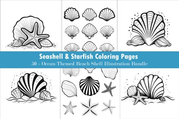 Download 50+ Beach Seashell Illustration Pack - Beach Collection